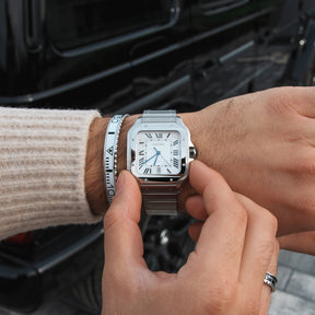 Arctic White